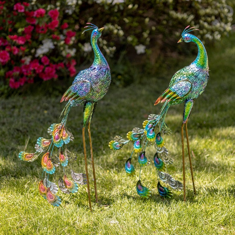 Set of Two 35" Tall Standing Colorful Iron Peacocks Item #: ZR140220-SET